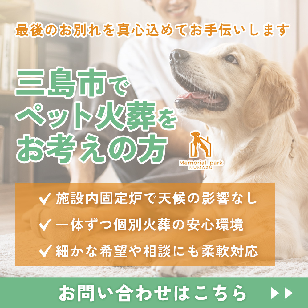 modal_banner